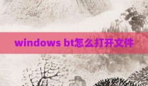 windows bt怎么打开文件