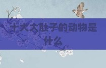 十大大肚子的动物是什么
