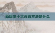 新版本十大设置方法是什么