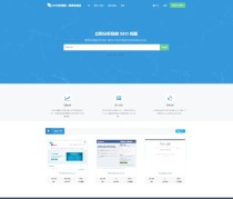 SEO在线检测优化分析网站源码