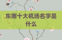 东南十大机场名字是什么