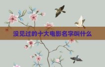 没见过的十大电影名字叫什么