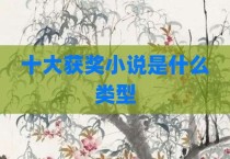 十大获奖小说是什么类型