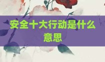 安全十大行动是什么意思