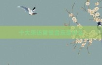 十大采访背景音乐是什么