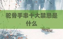驼骨手串十大禁忌是什么