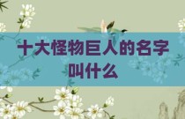 十大怪物巨人的名字叫什么