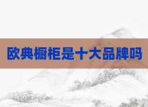 欧典橱柜是十大品牌吗