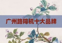 广州路障机十大品牌