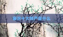 襄汾十大特产是什么