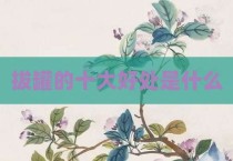 拔罐的十大好处是什么