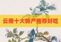 云南十大特产推荐好吃