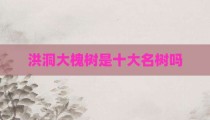 洪洞大槐树是十大名树吗
