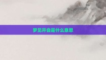 梦见开会是什么意思