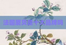 法国厦贝是十大品牌吗