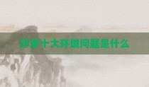 环球十大环境问题是什么
