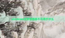 windows任务管理器不可用于什么