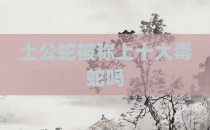 土公蛇被称上十大毒蛇吗