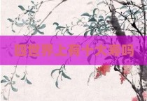 四世界上有十大寿吗