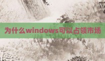 为什么windows可以占领市场