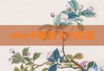 nba卡佩拉十大扣篮