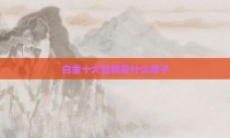 白金十大品牌是什么牌子