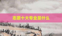 志愿十大专业是什么