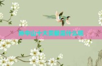 孙中山十大贡献是什么呢