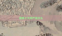 越南十大特产是什么