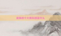 龙珠的十大黑科技是什么