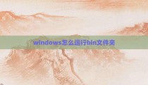 windows怎么运行bin文件夹