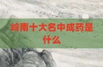 岭南十大名中成药是什么
