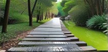 深圳十大最美公园介绍