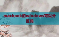 macbook的windows可以分区吗