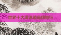 世界十大游泳镜品牌排行