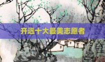 开远十大最美志愿者