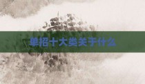 单招十大类关于什么