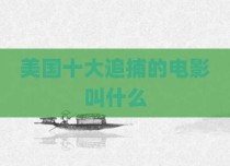 美国十大追捕的电影叫什么