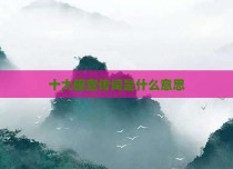 十大碗宣传词是什么意思