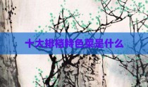 十大排档特色菜是什么