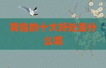 背包的十大好处是什么呢