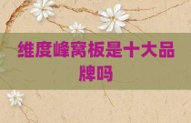 维度峰窝板是十大品牌吗