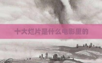 十大烂片是什么电影里的