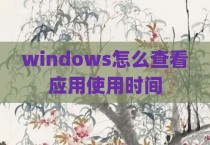 windows怎么查看应用使用时间