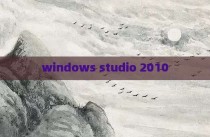 windows studio 2010