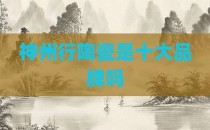 神州行陶瓷是十大品牌吗
