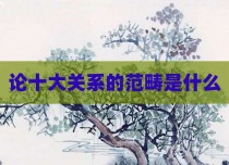 论十大关系的范畴是什么