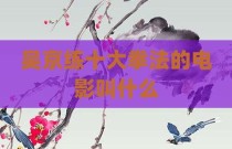 吴京练十大拳法的电影叫什么
