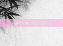 兴国十大特产糯玉米是什么