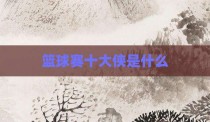 篮球赛十大侠是什么